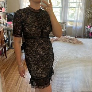 Bardot black lace dress